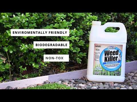 
                  
                    Load and play video in Gallery viewer, Avenger® | Weed Killer | Concentrate | 2.5 gal. (2-Pack)
                  
                