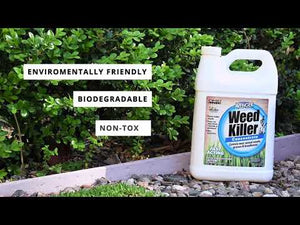 
                  
                    Load and play video in Gallery viewer, Avenger® | Weed Killer | Concentrate | 2.5 gal. (2-Pack)
                  
                